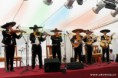 /album/evento-minera-cerro-negro/a296901-2478217881449-937936798-n-jpg/